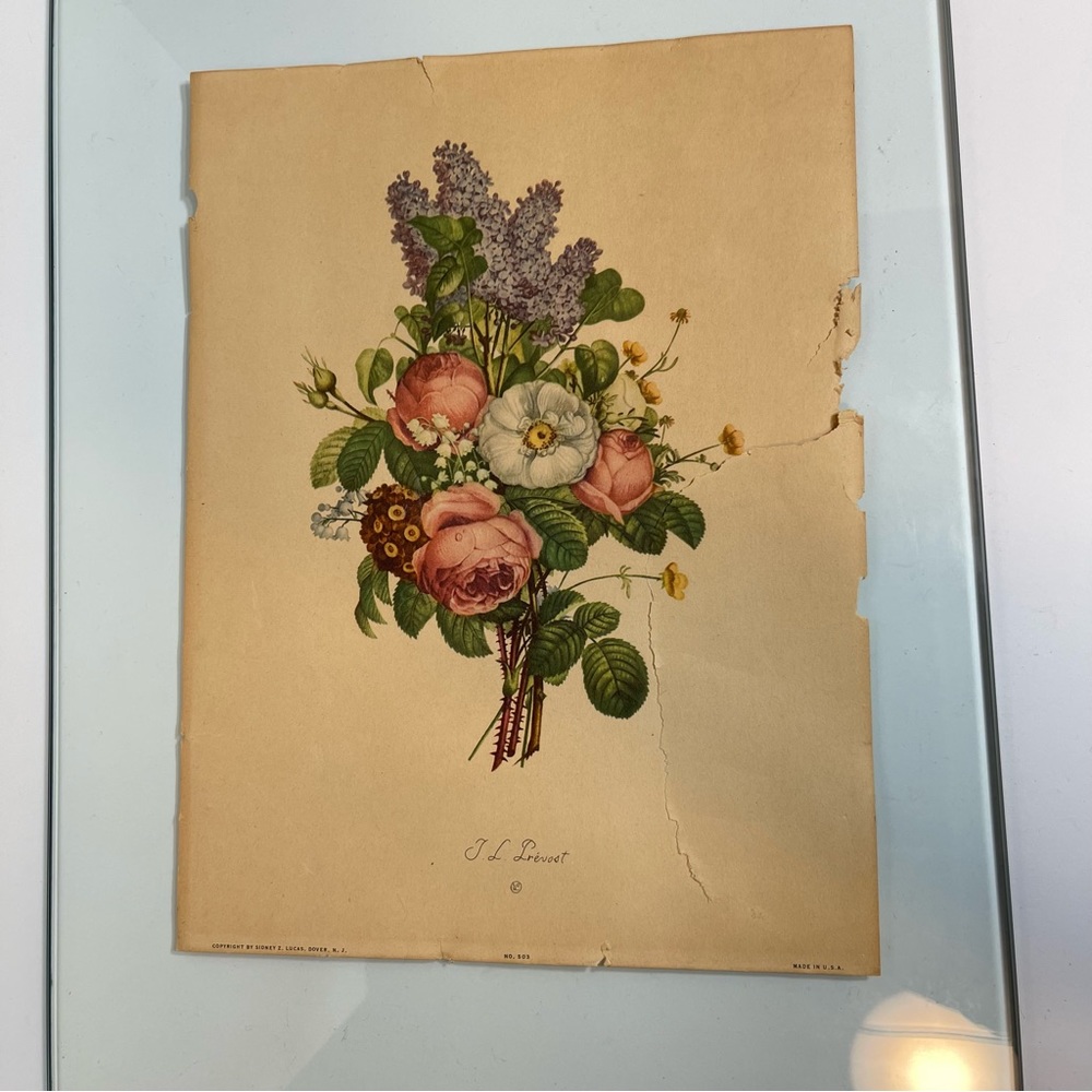 Vintage J L Prevost Botanical Print, Floral Print, Small Flower